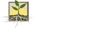 DS&A Logo
