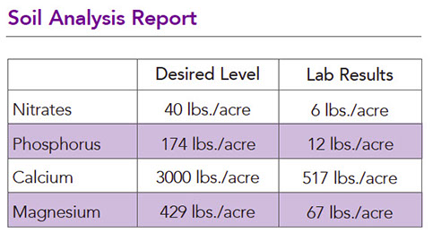 Soil Analysis Table Data