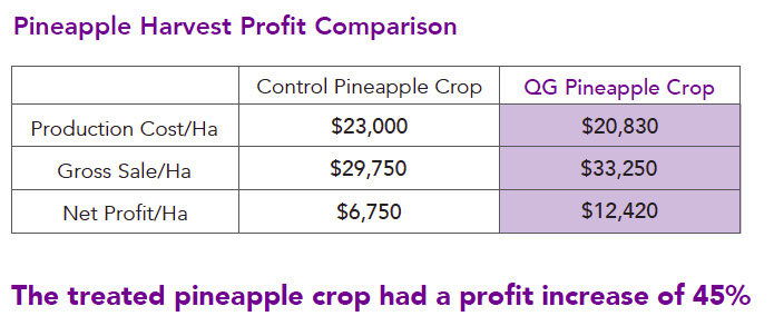 Pineapple Profit comparison